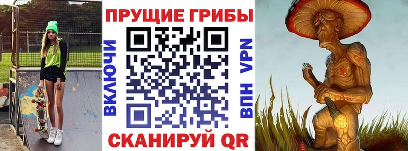 Купить  Собинка  Псилоцибиновые грибы прущие грибы 